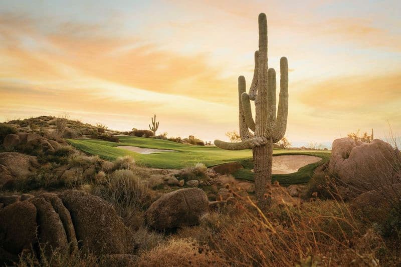 Golf club fitters in Scottsdale